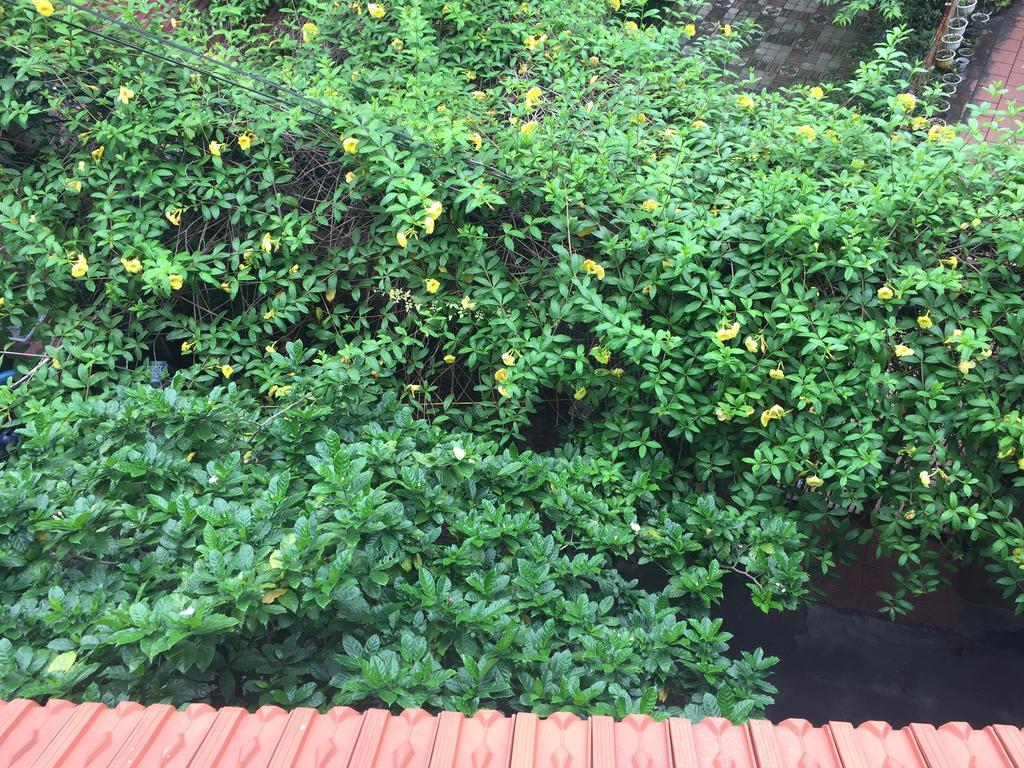 An Home Hanoi Zewnętrze zdjęcie